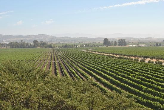 looking out from patio while enjoying sparklers