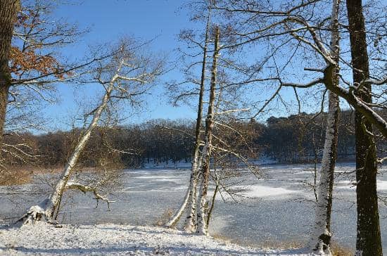 Lake Grunewald