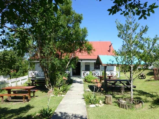 Holly's Tea Garden