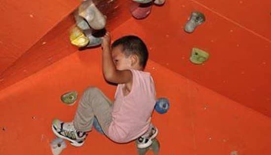 Outdoor Climbing Wall