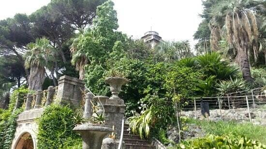 Tranquil Garden Strolls