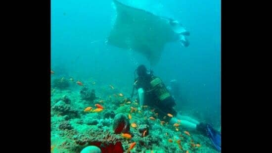 Underwater Cleaning Station