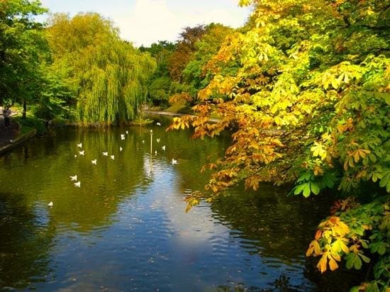 Botanic Garden's lovely weeping willow over the Lake