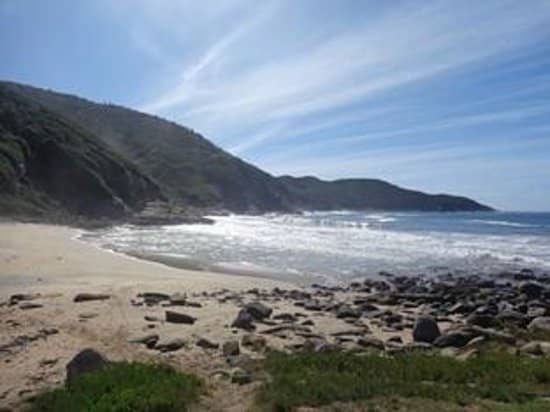 Tranquil Pebble Shoreline
