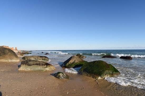 Secluded Beachcombing