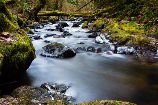 Chuckanut Creek in Arroyo Park along the Interurban Trail
