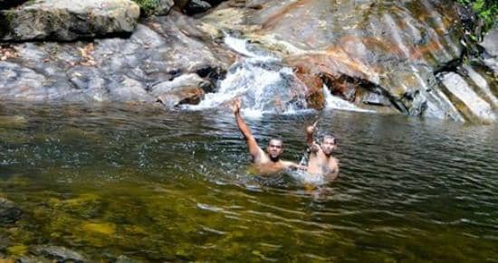 Forest Trek to the Falls