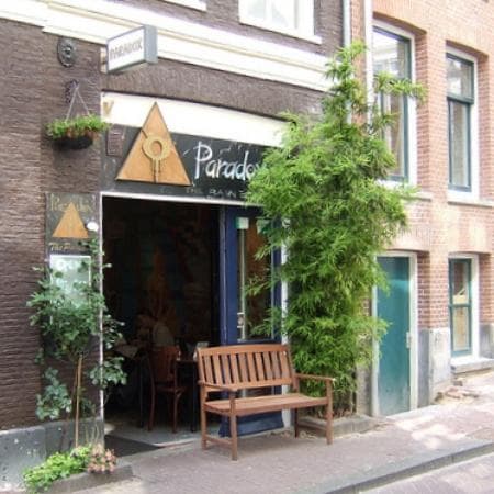 Coffeeshop Paradox Jordaan Amsterdam