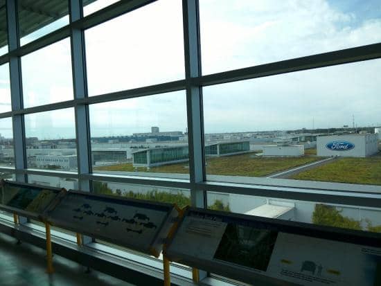Observation Deck Views