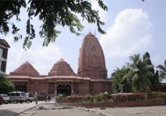 Divine Radha Krishna Idols