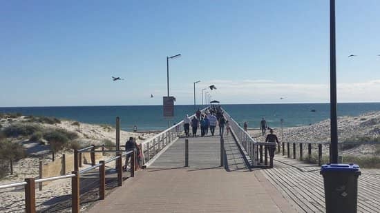 Local Wildlife Sightings