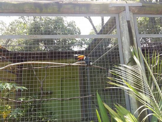 Diverse Bird Aviaries