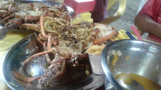 Cooked to Perfection