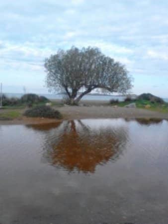 Vertical photo