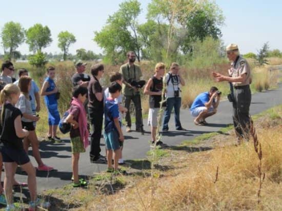 Wheelchair Accessible Fishing