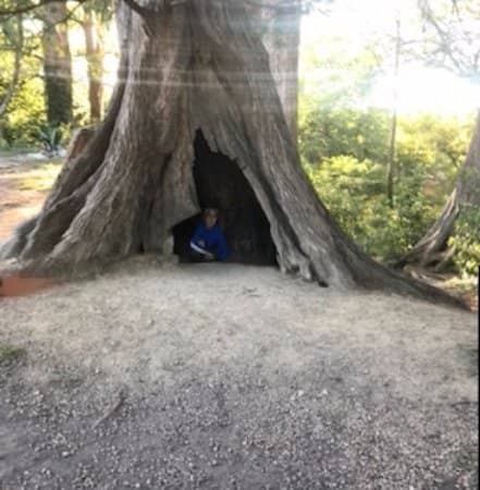 Waterfall and River Descent