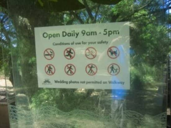 The Glass Arched Bridge