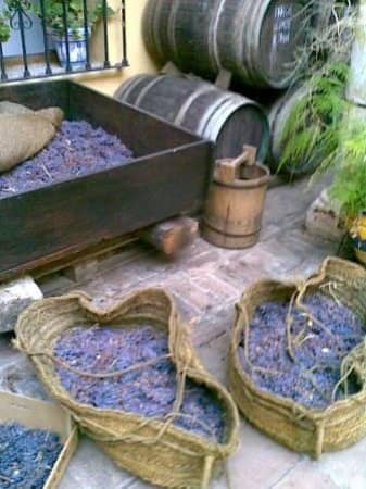 Local Wine Education
