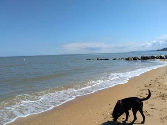 Spacious Sandy Shores