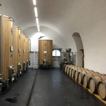 Dinosaur Exhibition Fun