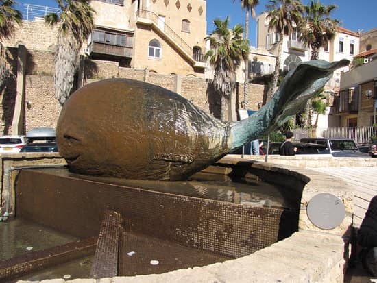 Smiling Whale Fountain
