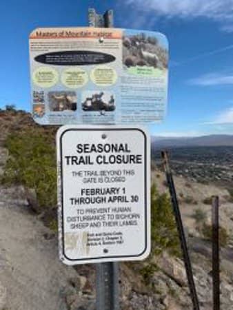 The Challenging Ascent