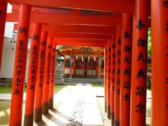 Shibuya's Quiet Oasis