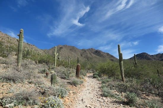 Looking Back To The The Top Of The Pass