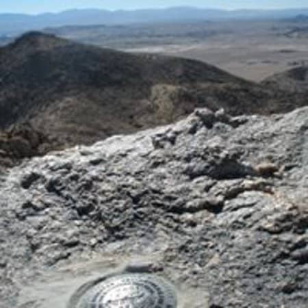 Joshua Tree Wonderland