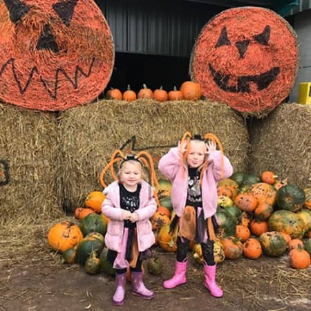 Seasonal Pick-Your-Own Experiences