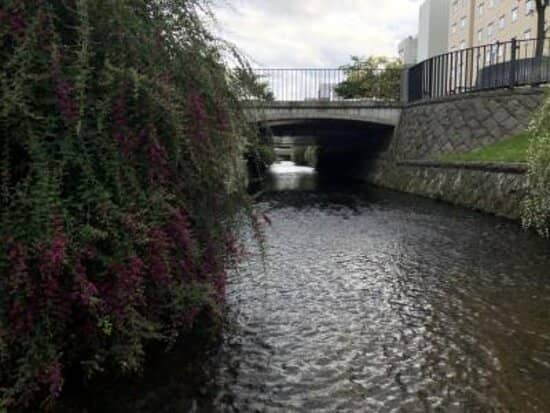 Public Art Installations