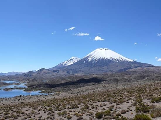 Volcanic Sentinels
