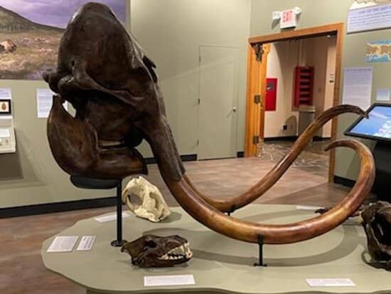 Montana History Exhibits