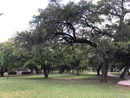 Olmos Basin Park