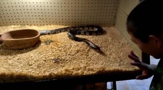 Educational Encounters