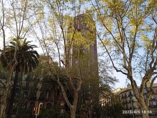 Unlimited Barcelona Observation Deck