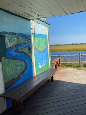 Birdwatching Opportunities