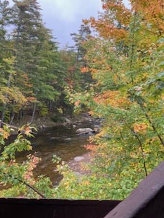 Picnic by the River