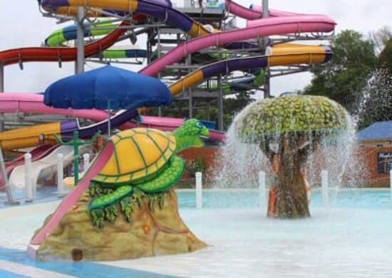 Lots for the little ones as well.