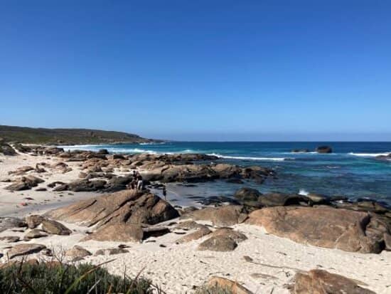 Surfing for Beginners