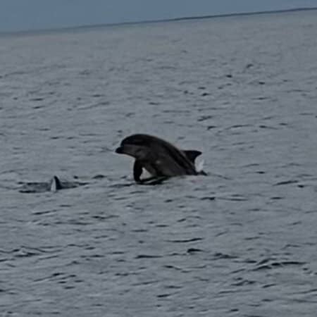 Tweed Estuary Boat Trip