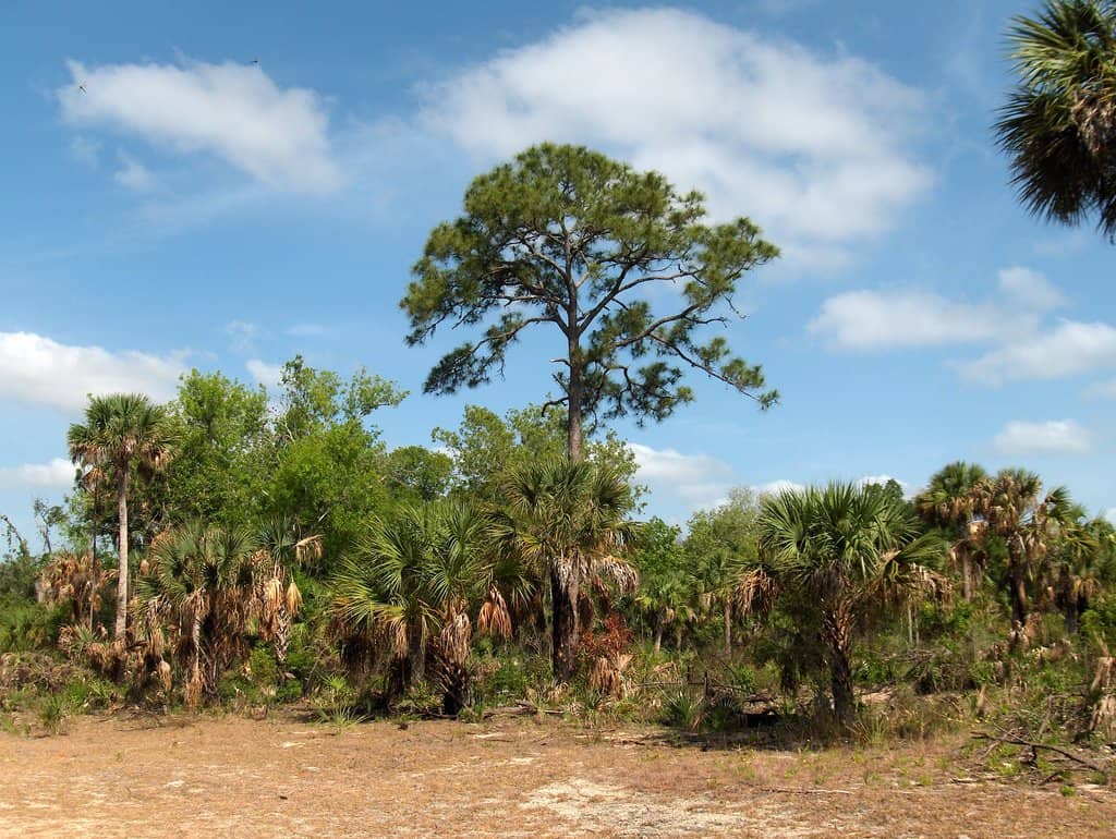 Visitor Center & Gift Shop