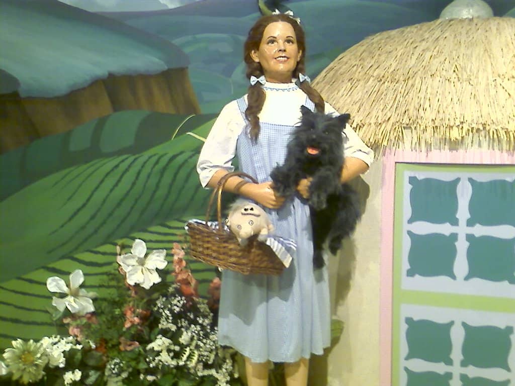 Interactive Exhibits