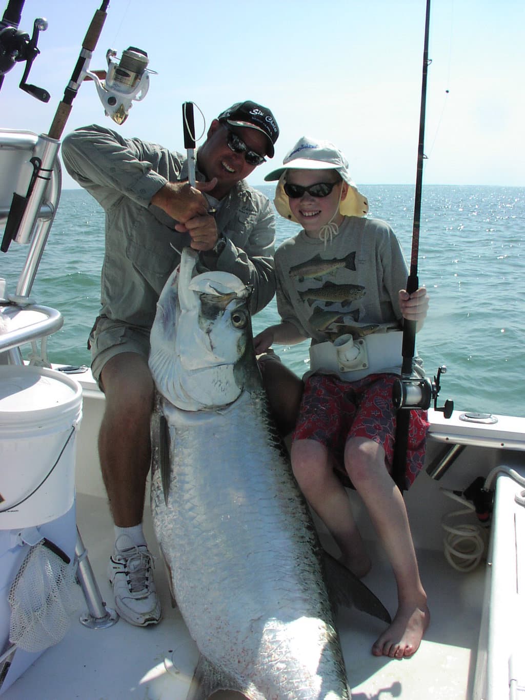 Tarpon