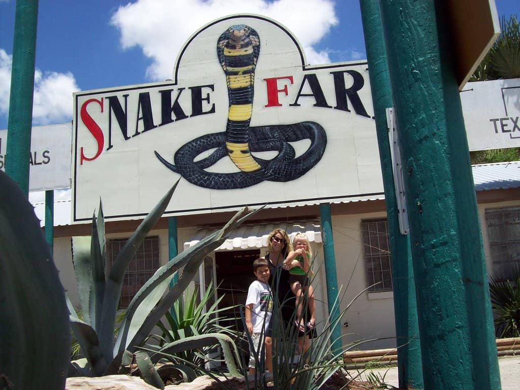 Interactive Petting Zoo