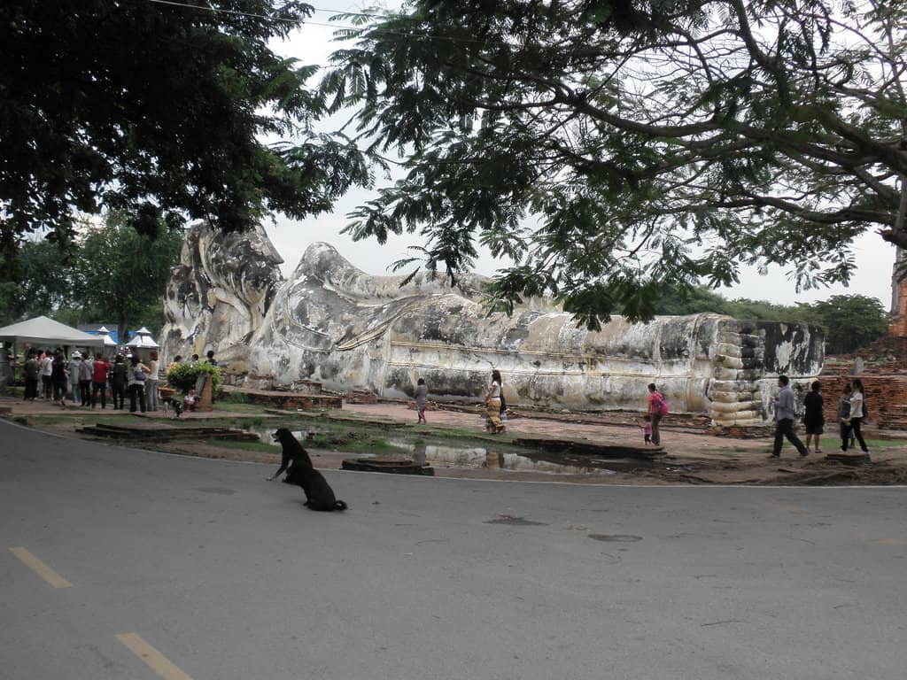 The Enormous Reclining Buddha