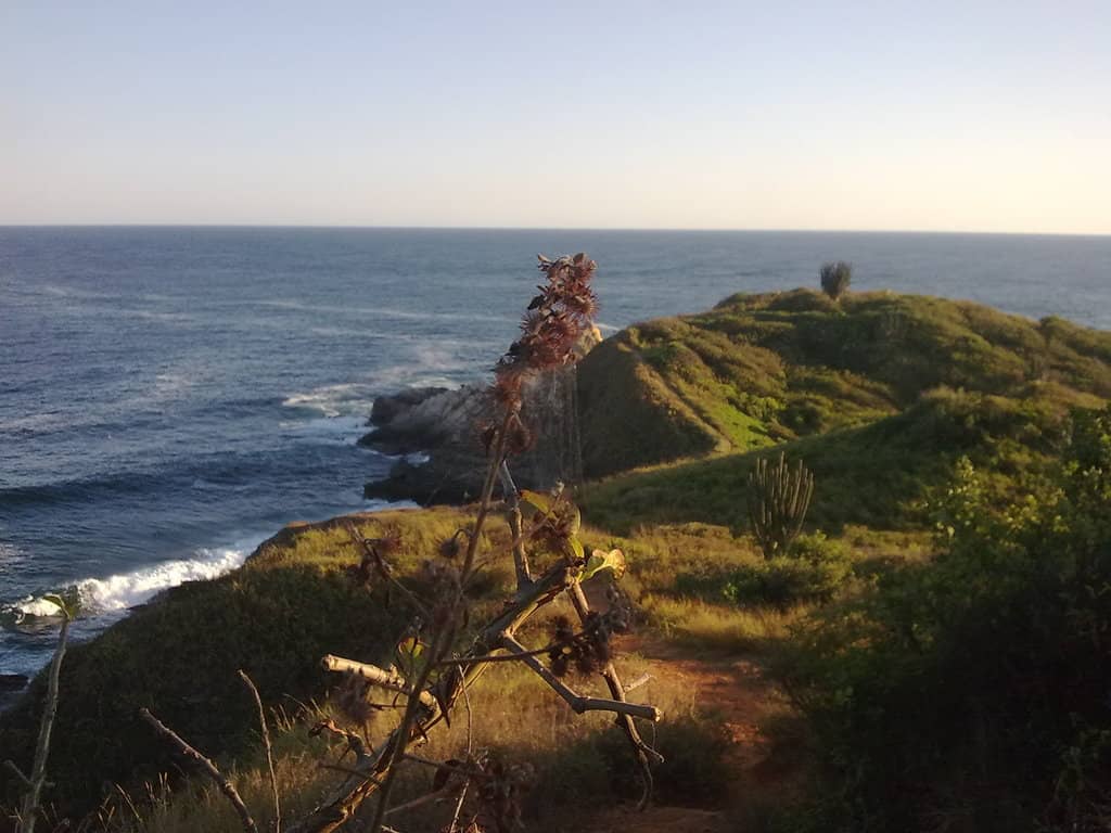 Panoramic Coastal Views