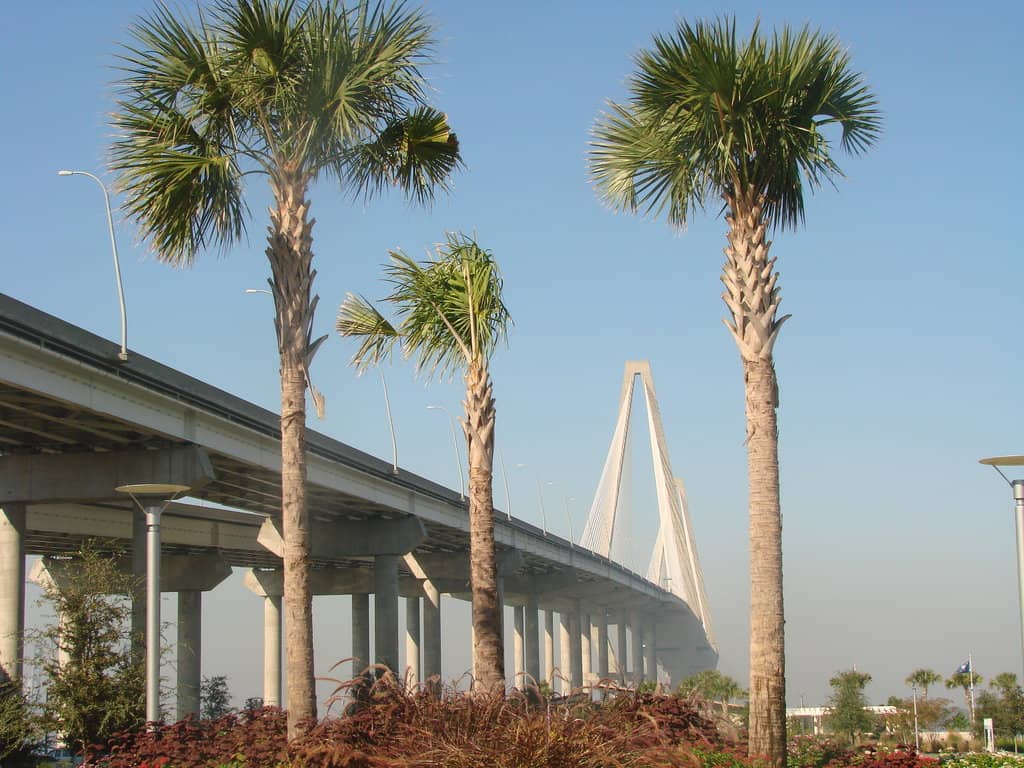 Ravenel Bridge Views