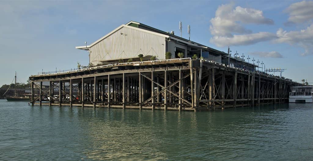 Onboard Dining and Drinks