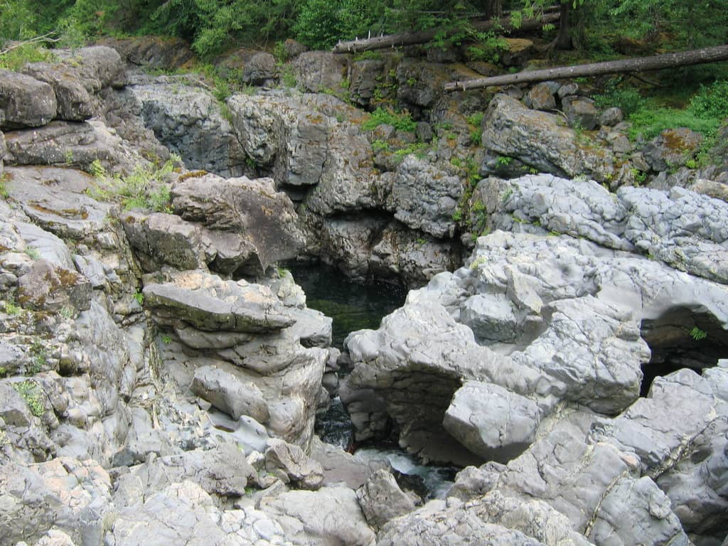 Vertical photo